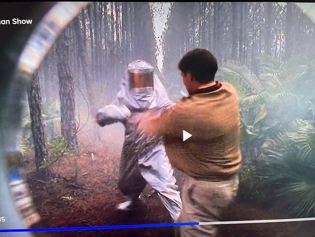 The Truman Show (1998). In the forest the trees align. Pointing out it's a  planned forest instead of a natural one. : r/MovieDetails