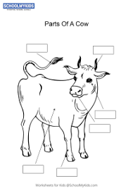 A cow says moo handwriting sheet. Label And Color The Parts Of A Cow Worksheets For Kindergarten First Second Grade Science Worksheets Schoolmykids Com