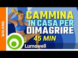 Camminare Per Dimagrire Pancia Fianchi E Cosce In Casa Esercizi Principianti Youtube Allenamento Brucia Grassi Allenamento A Casa Esercizi
