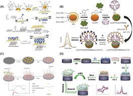 Papa mol schneemann / eyindi moïse mbiye a porté p. Recent Trends In Electrochemical Sensors For Vital Biomedical Markers Using Hybrid Nanostructured Materials Abstract Europe Pmc