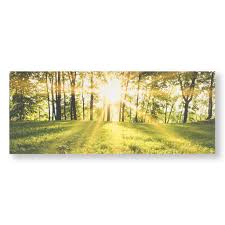 Buy the wall rogues tranquil forest wall mural at michaels.com. Tranquil Forest Fields Printed Canvas Wall Art