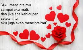 Pengertian kalimat simpleks dan kompleks. 50 Kata Mutiara Untuk Nyatakan Cinta Ke Wanita Idaman Dailysia