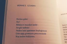 Ali Lidar Herkes Gider Bunu Bilmiyor Muydun Sevgili Kalbim Kitap Alintilari Alintilar Kitap Sayfalari