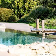 Pin On Piscines Naturelles