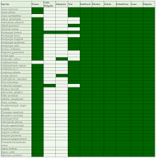 Image result for Millettia bussei