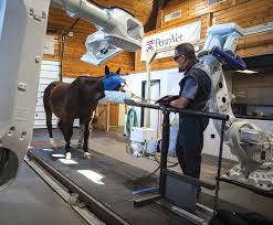 REPORT OF GIVING 2016