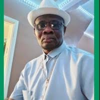 40+ "Ayodele" profiles