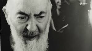 Robert Arida's Instagram, Twitter & Facebook