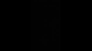 Image result for lapointe rev12 Holy Grail