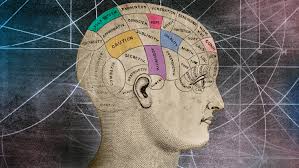 Consciousness