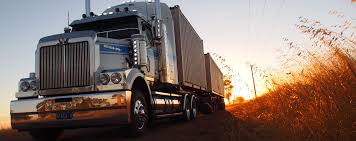 It needs to be moved from the roadside, across about 150m of wetland to a little wooded area where it will stay. Self Pack Shipping Container Removals Moving Services You Pack