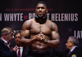 See more of rico verhoeven on facebook. Boxing Kickboxing And Mma Hw Champions Sherdog Forums Ufc Mma Boxing Discussion