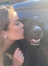 Stop by this weekend... You can also check out a dog! 💓