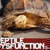 Story image for Best Pet Supplies Fish Supplies Aquarium Gravel Substrates For Sale from BuzzFeed News
