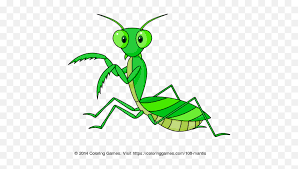 They are so good at it they are often released by farmers and gardeners a. Mantis Coloring Page Emojis Mantis Religiosa Praying Mantis Emoji Free Transparent Emoji Emojipng Com