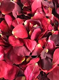 Red Velvet Pretty Petals In 2020 Freeze Dried Rose Petals Dried Rose Petals Beautiful Red Roses