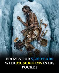 In 1991, two German hikers discovered what they thought was a recent victim  in the melting ice of the Ötztal Alps. What they actually found was Ötzi  the Iceman — a perfectly