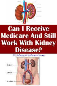 Reverse Kidney Disease Dialysis Kidney Disease Symptoms Kidney Disease Kidney Infection