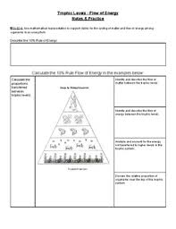 What is food webhat is food pyramid? Trophic Level Practice Worksheets Teaching Resources Tpt