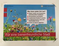 Salzburg Aktionsplan Der Stadt Soll Bienen Retten Salzburg24