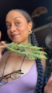 Traditionally, rosemary has been used for—, 🌿Purification & Protection:,  Burned as incense or used in limpias (spiritual cleansings) to cleanse  spaces, people, and objects of stagnant, heavy, or ...