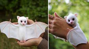Unless you have or have had one of your own, of course! Top 10 Cute Animals In The World Youtube
