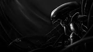 Looking for the best alien wallpaper? 49 Xenomorph Hd Wallpapers Background Images Wallpaper Abyss