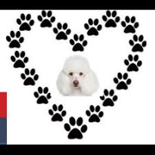 Puppy love is a stress and cage free dog. Puppy Love Grooming Salon Reviews Top Rated Local