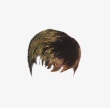 Men S Fashion Brown Hair Fashion Clipart Men S Hairstyle Brown Png Transparent Clipart Image And Psd File For Free Download Hair Clipart Fashion Clipart Mens Hairstyles