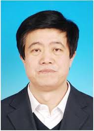 基于弱测量的量子精密测量