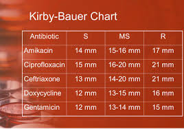 Antibiotic Sensitivity Testing Ppt Download