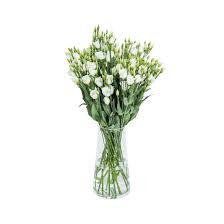 Image result for eustoma lisianthus in vase