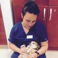 Also, they're a 24 hour emergency facility, so you want their number in your speed dial if you have a pet. Amanda Love Veterinary Assistant San Francisco Spca Linkedin
