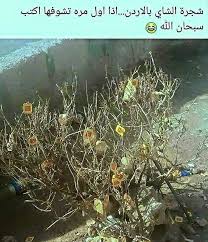 Pin On حكم و نكات و رمزيات و معلومات