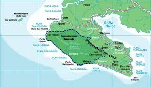 Check spelling or type a new query. Osa Peninsula Corcovado Areas Protegidas Y Parques Nacionales De Costa Rica