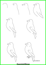 Bird Drawing For Kids Easy Step By Step Kak Narisovat Kormushku S Pticami Poetapno Karandashom Kraskami Buzztmz Simple Bird Drawing Bird Drawings Cool Easy Drawings