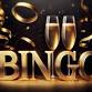 Boozy Bingo Bash event image