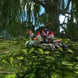 what-do-party-dodos-do