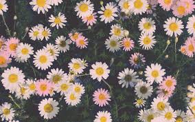 Here you can get the best wallpapers tumblr for your desktop and mobile devices. Tumblr Mac Wallpapers Posted By Samantha Thompson