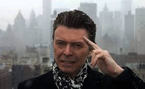 Evolver Social Movement