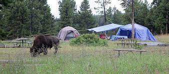 Check spelling or type a new query. Bridge Bay Campground Yellowstone National Park U S National Park Service