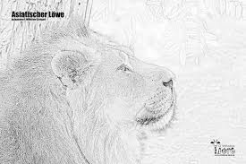 Malvorlagen Wilhelma Tiere