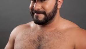 Help Where The Bears Are Reach Their Kickstarter Goal!