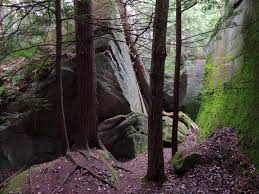 Check spelling or type a new query. Fred Woods Trail Visit Pa Great Outdoors