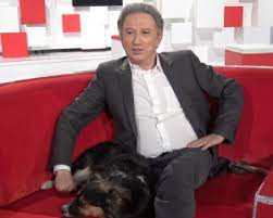 Maybe you would like to learn more about one of these? Mon Chien Ma Ville La Patte Des People