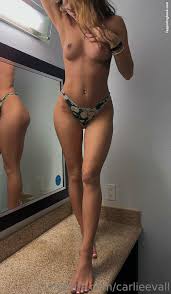 Carlie Sanborn  carlieeemarieee Nude, OnlyFans Leaks, The Fappening -  Photo 3043388 - FappeningBook