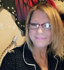 Bearded dragon care and experience