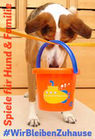 Ihr hund muss auch in den eigenen vier wänden ideal beschäftigt werden können. Spielefieber Spass Mit Hund