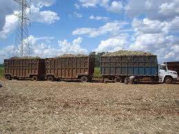 Bioenergy value sdn bhd (reg no. Bioenergy Bioenergy Consult