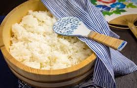 Sushi Presse Comment Preparer Oshizushi A La Maison Recette Sushi Sushi Recettes Japonaises Faciles